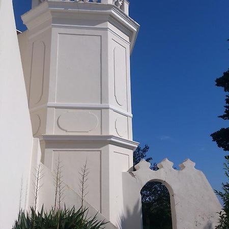 Villa-Chateau Les Terrasses - Tamaris, Plage Des Sablettes, Mer Au Bas De La Propriete La Seyne-sur-Mer Eksteriør billede