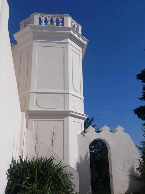 Villa-Chateau Les Terrasses - Tamaris, Plage Des Sablettes, Mer Au Bas De La Propriete La Seyne-sur-Mer Eksteriør billede