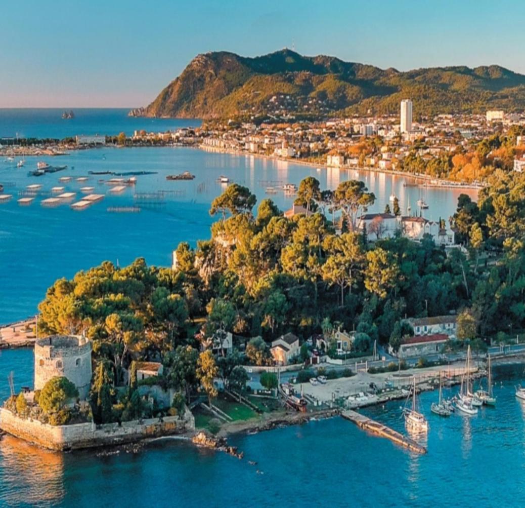 Villa-Chateau Les Terrasses - Tamaris, Plage Des Sablettes, Mer Au Bas De La Propriete La Seyne-sur-Mer Eksteriør billede