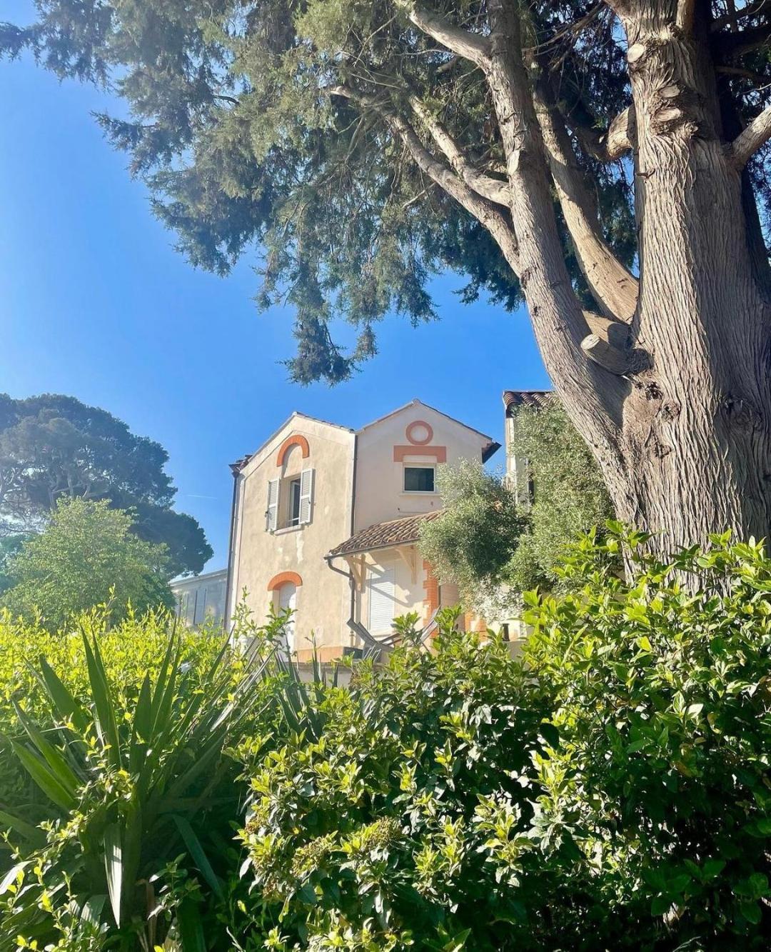 Villa-Chateau Les Terrasses - Tamaris, Plage Des Sablettes, Mer Au Bas De La Propriete La Seyne-sur-Mer Eksteriør billede