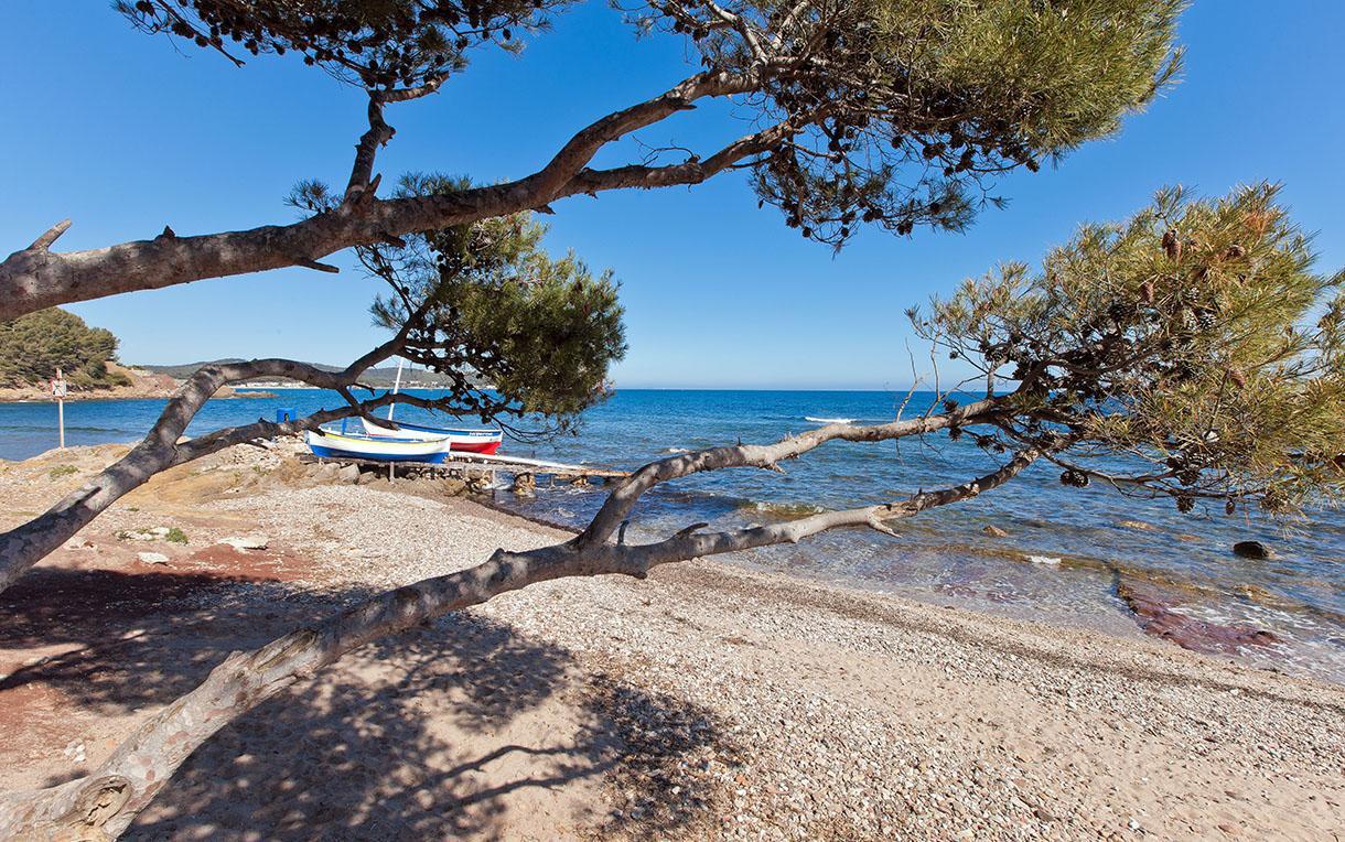 Villa-Chateau Les Terrasses - Tamaris, Plage Des Sablettes, Mer Au Bas De La Propriete La Seyne-sur-Mer Eksteriør billede